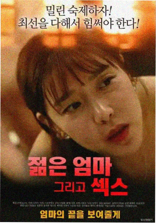专题配图：术语记忆卡与珊瑚色圆章